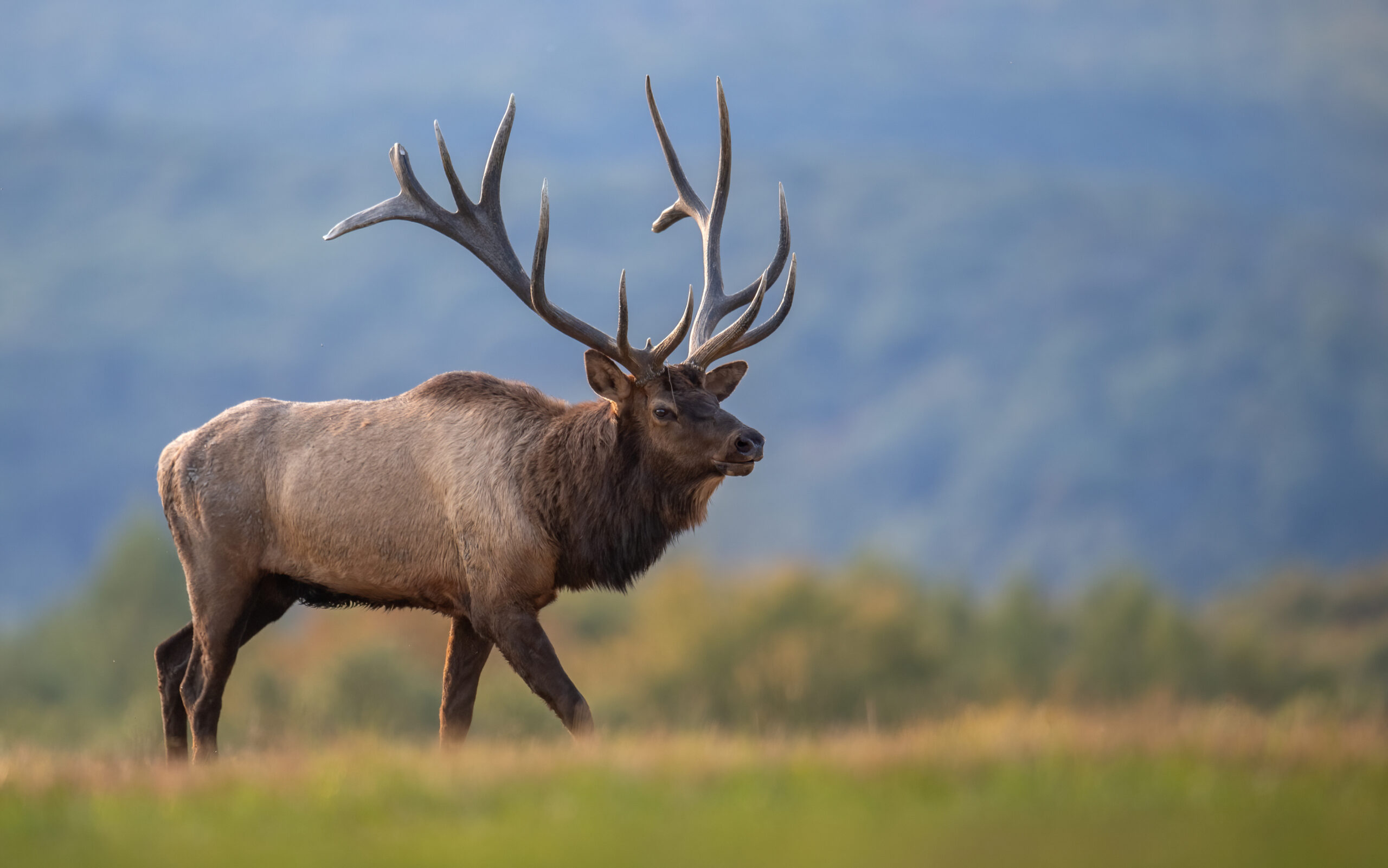 tr-operations-elk