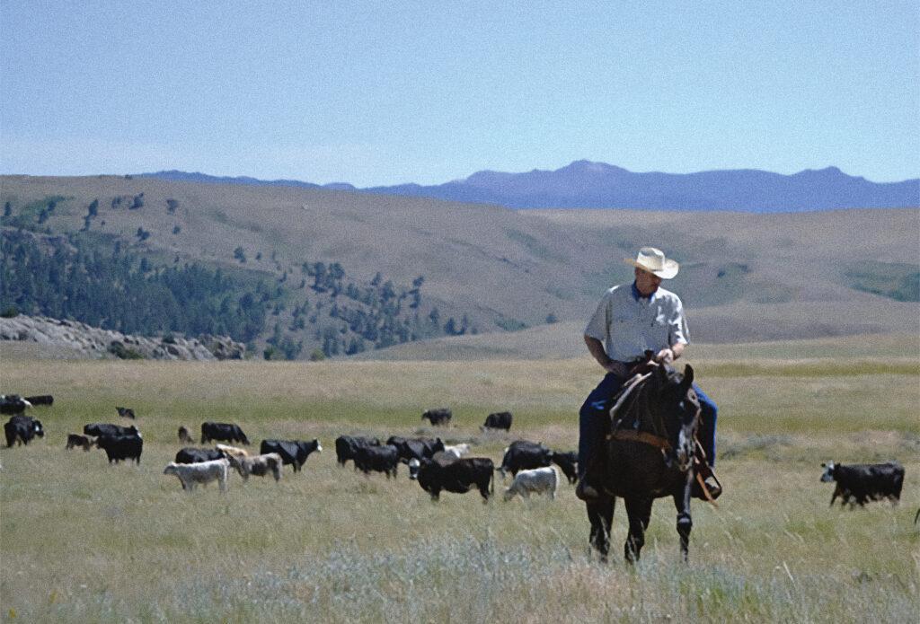 True Ranches
